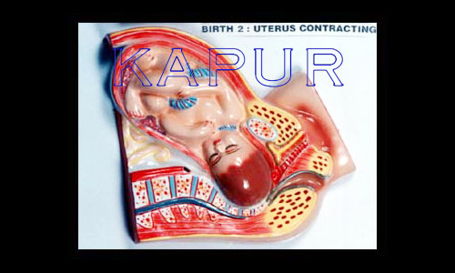 Born Baby Stage 2