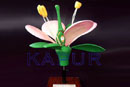 Typical Flower